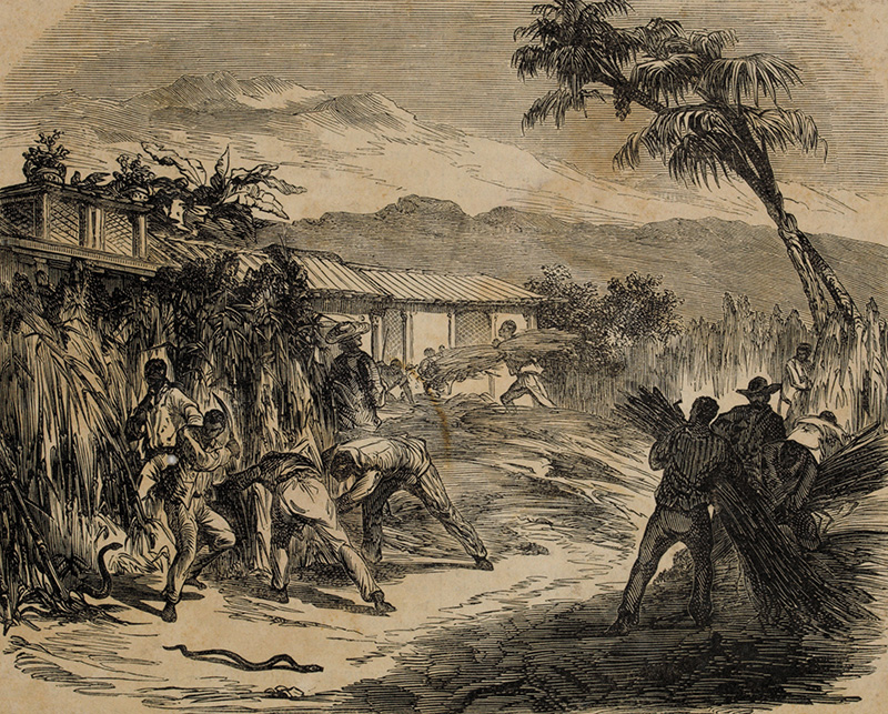 Archives des Sem categoria  Société de plantation, histoire et mémoires de  l'esclavage à La Réunion