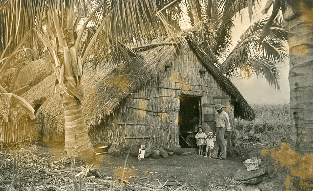 Archives des Sem categoria  Société de plantation, histoire et mémoires de  l'esclavage à La Réunion